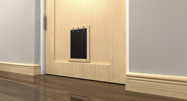 Cat Flap Installation Ashford, TW15
