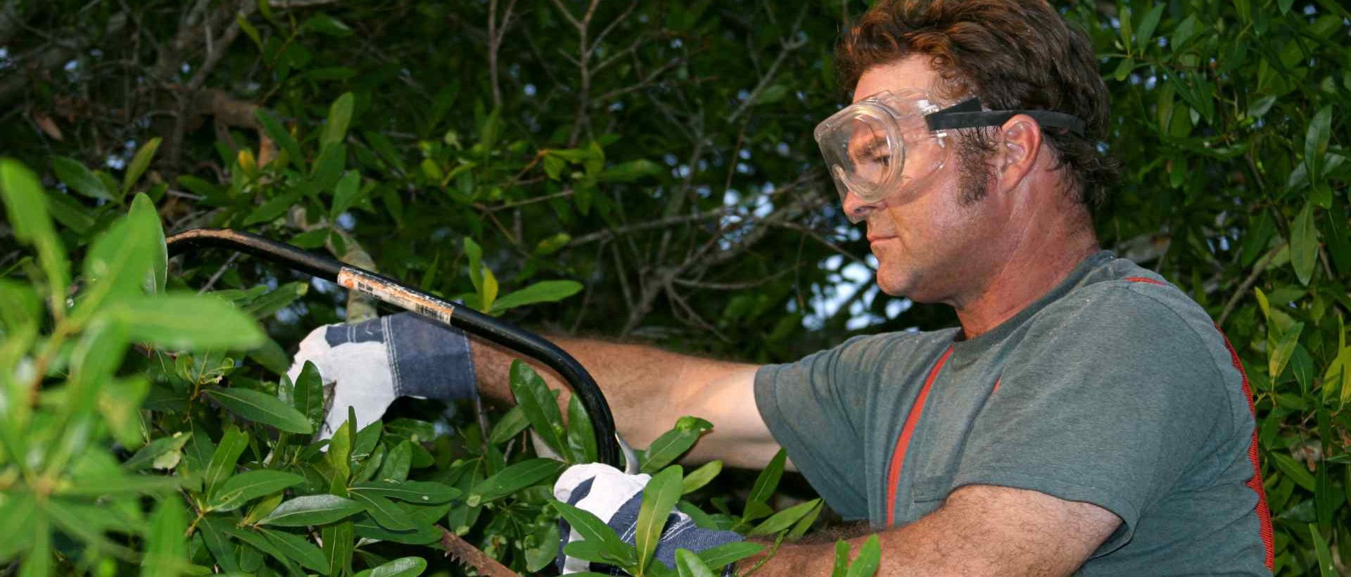 garden clearance TW15