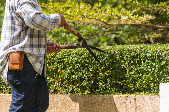 Garden Maintenance Ashford, TW15
