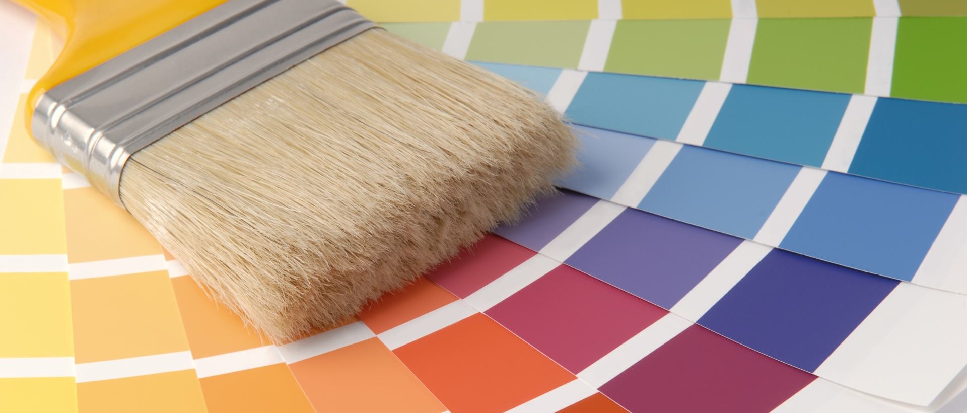 Painter TW15